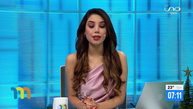 Aprehenden a atracadores peruanos