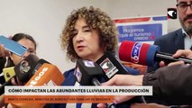 Cómo impactan las abundantes lluvias en la producción