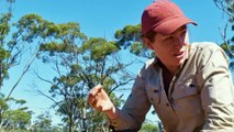 Aussie Gold Hunters S08 E15 Se8 Ep15