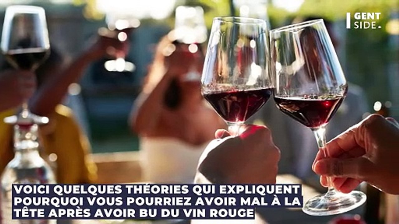Pourquoi j'ai mal à la tête après avoir bu du vin rouge ? Les scientifiques ont la réponse