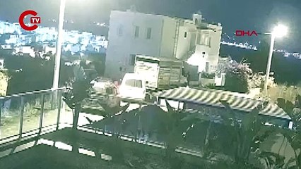 3 köpek araçla götürüldü... Arama çalışması başlatıldı!