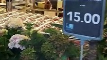 20180426-Im Edeka