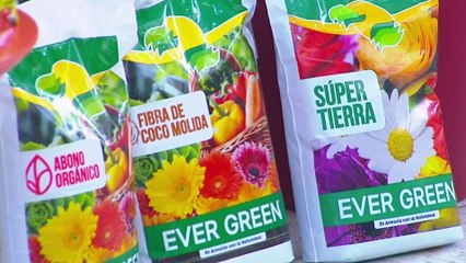 bd-publireportaje-evergreen-271123