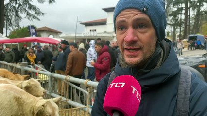 Download Video: Plus de 350 exposants à la Foire de la Sainte-Catherine