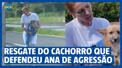 Alexandre Corrêa critica Ana Hickmann por resgatar cachorro que a defendeu de agressão