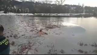 L'incroyable sauvetage d'un chien pris au piège dans la glace