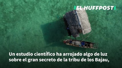 Descubren la mutación genética de la conocida tribu que vive bajo el mar
