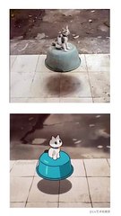 Reality vs. Picture: Funny & Interesting Content 📸