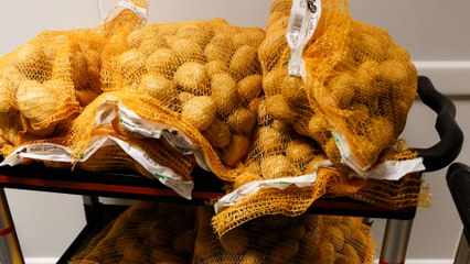 Inflation : +23% en un an, pourquoi la pomme de terre est de plus en plus chère ?