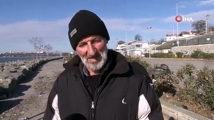 Görenlerin içi titredi! Dev dalga onlarca kediyi boğdu