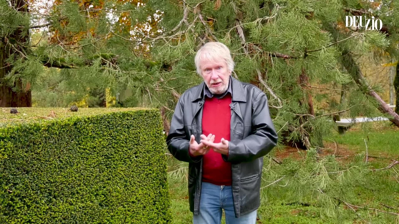 Travaux du jardin - 24 février 2024 : le grenadier