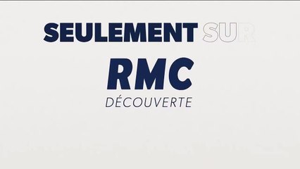 Wheeler Dealers France - 28 novembre