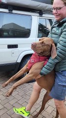 Donut Loves His Nonna