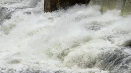 COP28 : des négociations internationales sur le climat sous haute tension