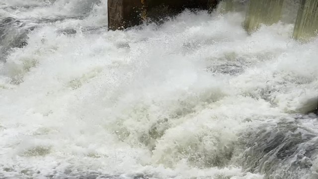 COP28 : des négociations internationales sur le climat sous haute tension