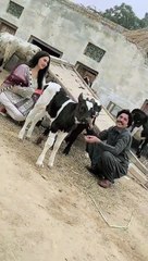 Aisa mastana yar milya #alizaseharvlogs