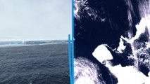 Après plus de 30 ans sans bouger, le plus gros iceberg du monde est à la dérive