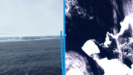 Download Video: Après plus de 30 ans sans bouger, le plus gros iceberg du monde est à la dérive