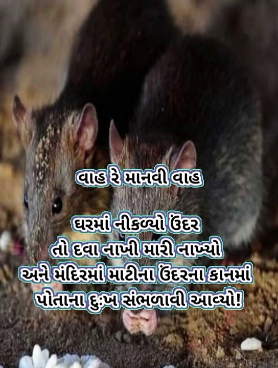વાહ રે માનું તારી આ માયા કાંઇ ના સમજાણી