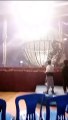 Vídeo: moto falha e provoca acidente em circo durante apresentação do 'globo da morte' em Rio Branco do Sul