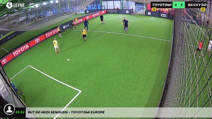 But de Heidi SENOUSSI - TOYOTOMI EUROPE