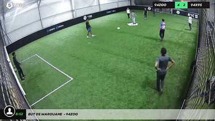 But de Marouane  - 94zoo