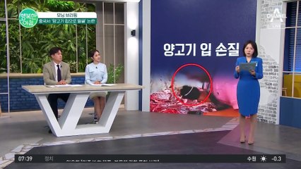 사람 입으로 양고기 손질하는 중국 정육점! 충격적인 위생 영상 공개