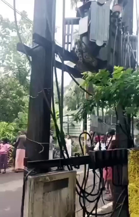 தொடர் மழை எதிரொலி; மின் மாற்றியில் குடியேறிய மலைப்பாம்பு - வனத்துறையினர் துரித நடவடிக்கை