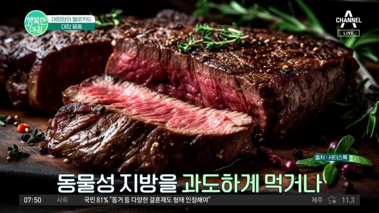 암 사망률 3위 대장암! 대장 용종이 위험한 이유 #무증상 #고위험도