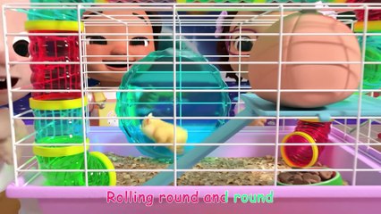 Bingo Was His Name-O + MORE Dog Songs! CoComelon Nursery Rhymes & Animal Songs