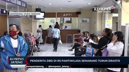 Скачать видео: Penderita DBD di RS Pantiwilasa Semarang Turun Drastis