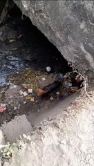 Dog rescued in one and a half kilometer long drain like tunne