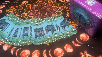 Chaque jour ,je vous propose un tirage de l Oracle de la Fée Morgane.Pour vous accompagner durant votre journée