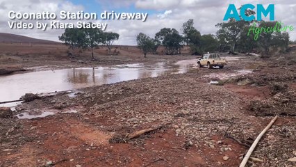 Coonatto Station - Stock Journal - November 28, 2023