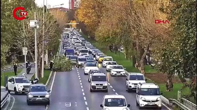 Bakırköy Sahilyolu'nda ağaç yola devrildi: İki şerit trafiğe kapandı