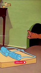 Tom&Jerry #Cartoon #TomandJerry