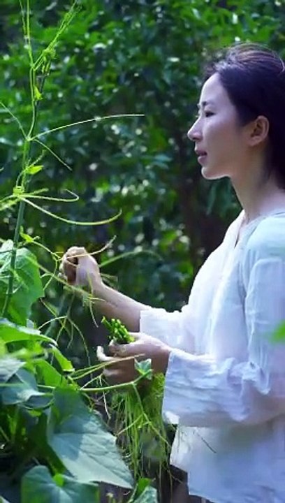 Today I went to the farm and plucked raw kale from there and its recipe is amazing.