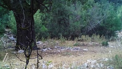 İbrahim Yumaklı'dan Anadolu parsı paylaşımı