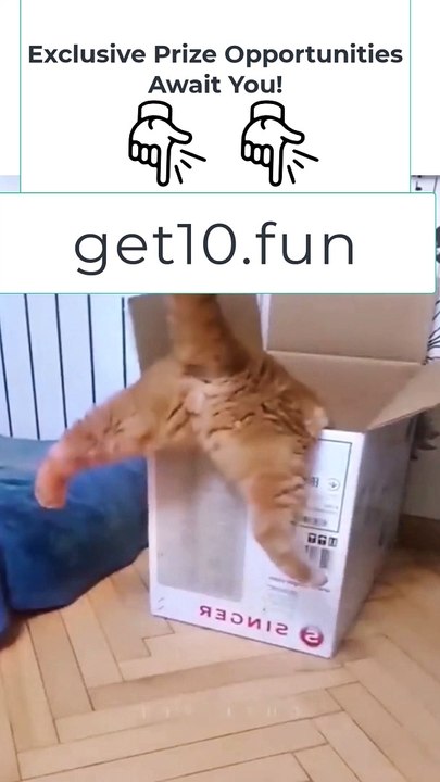 4 Funniest Animals  New Funny Cats and Dogs Videos 