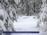 Reportage - Un hiver au domaine de Chamechaude - Reportages - TéléGrenoble