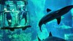 15 NEXT LEVEL Aquariums and Fish Tanks
