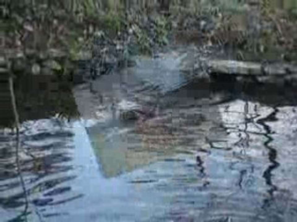 LE MANS JARDIN DES PLANTES