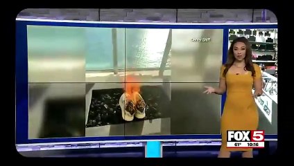 Brother Nathanael - Everyone Is A Holocaust Survivor [hECaEBw1Gxyz]