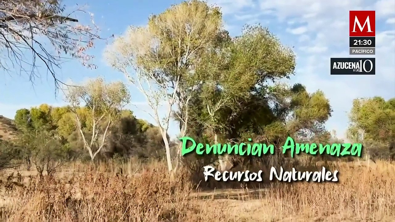Pobladores en alerta por impacto en agua y áreas protegidas por proyecto ferroviario en Sonora