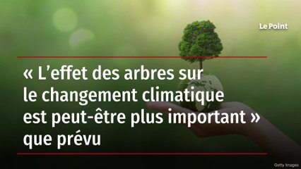 « L’effet des arbres sur le changement climatique est peut-être plus important » que prévu