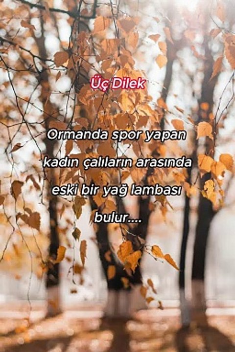Üç Dilek