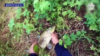 인체 10cm 뚫는 위력…화살총 만들어 판 태국인 검거