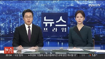 법원, 서현역 흉기난동범 최원종 정신감정 결정
