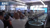 Economía azul ibérica: Algas contra el cáncer y espinas para crear prótesis
