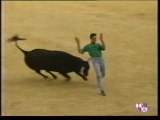 TARDE DE TOROS-CONCURSO DE CORTES-VALLADOLID-19 09 98